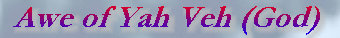 sweet_aroma_worship_web_site047001.jpg