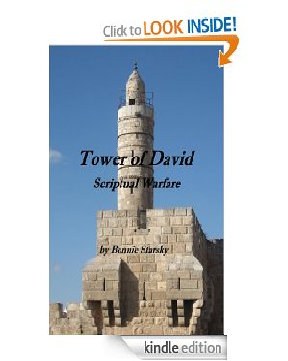 Tower of David